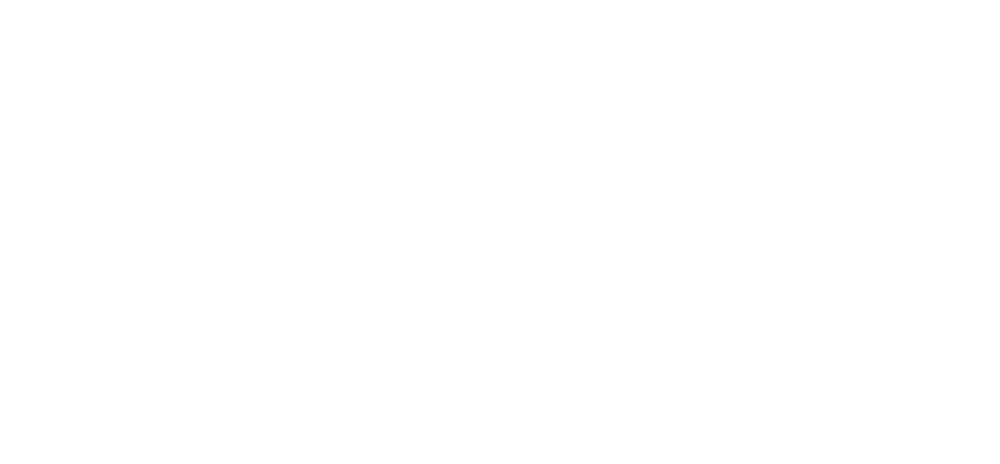 L2P Driving Excellence